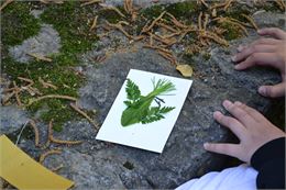 Atelier Land'Art_Musée de la vigne et du vin de Savoie_Montmélian - Musée de la vigne et du vin de S