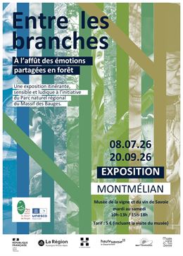 Exposition "Entre les branches, à l’affût des émotions partagées en forêt"_Musée de la vigne et du v