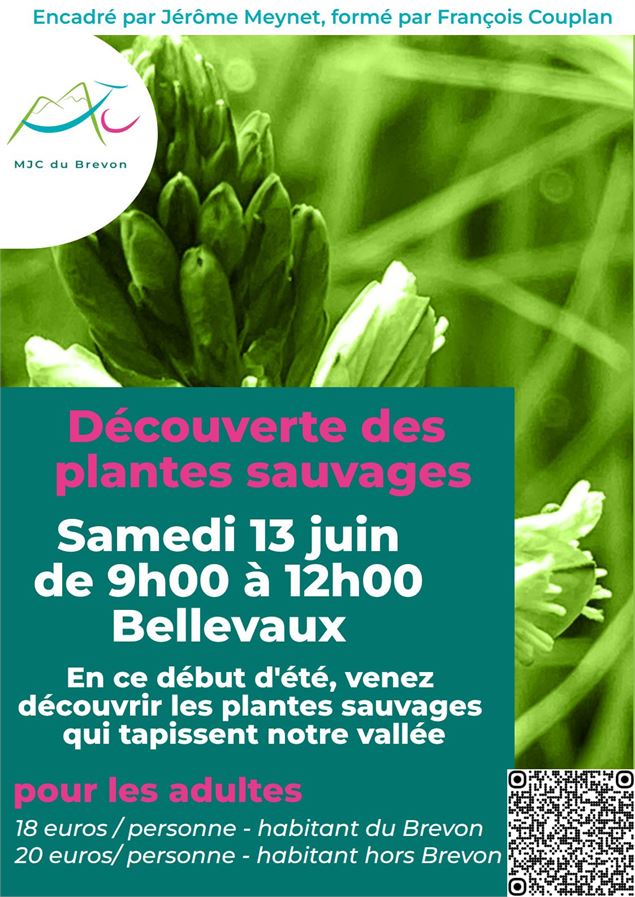 Affiche - MJC du Brevon