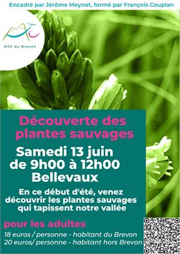 Affiche - MJC du Brevon