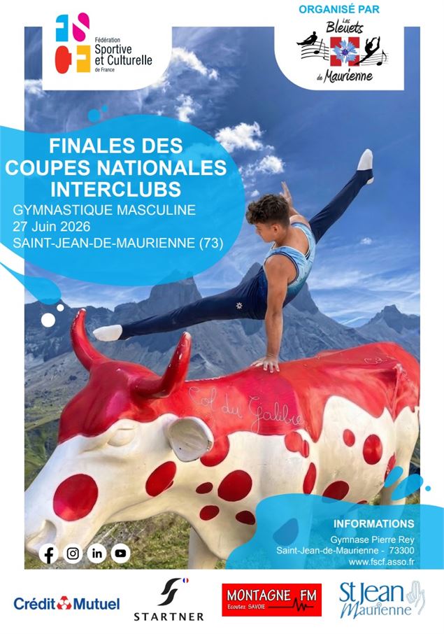 affiche cni.jpg