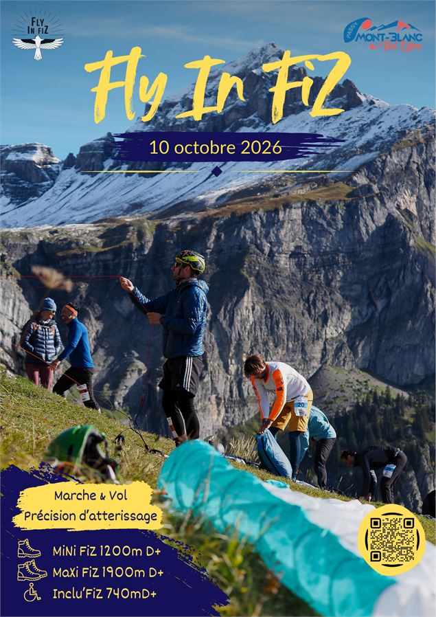 Affiche 2026 Fly in FiZ  - Louviot2026