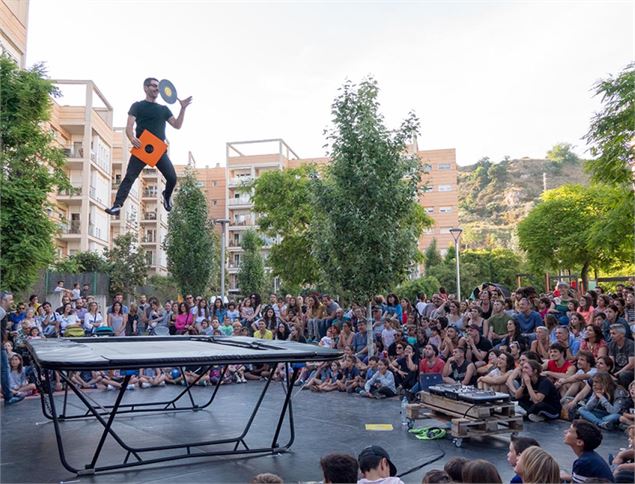 spectacle de trampoline - Back2classics