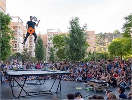 spectacle de trampoline - Back2classics