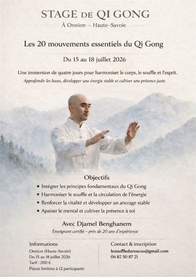 Stage de Qi-Gong à Onnion - Djamel Benghamen 