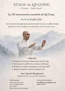 Stage de Qi-Gong à Onnion - Djamel Benghamen 