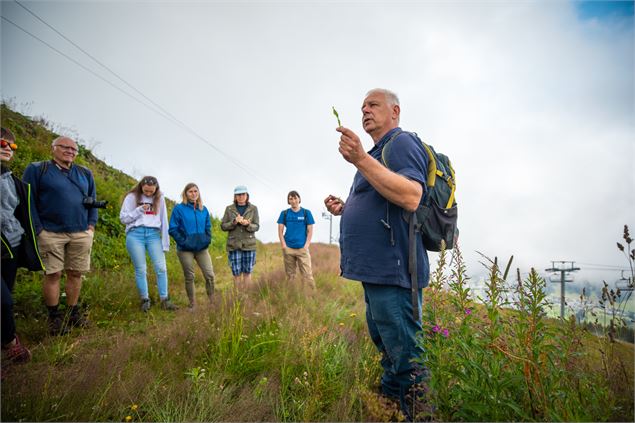 Balade Plantes médicinales_Les Gets - les gets tourisme