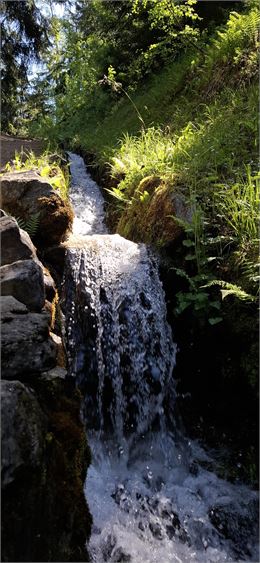 Bisse des Ravines - MAH