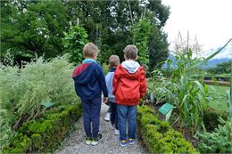 Visite des 2-3 ans : Le jardin des Charmettes_Chambéry - Musée des Beaux-Arts de Chambéry