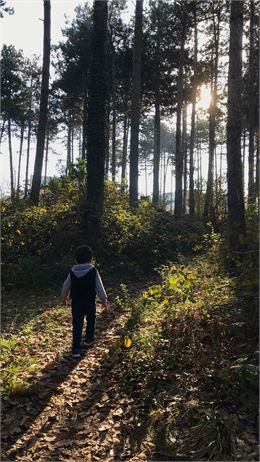 enfant qui se balade dans la foret