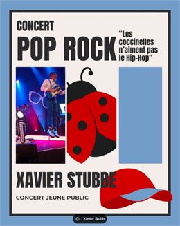 spectacle - Concert "Les coccinelles n'aiment pas le Hip-Hop"_Les Gets - xavier stubbe