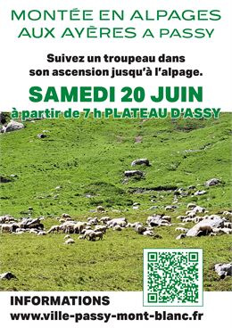 Montée en alpages aux Ayères_Passy