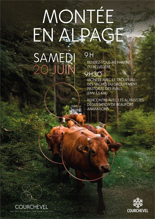 Affiche emmontagnée.jpg