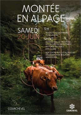 Affiche emmontagnée.jpg
