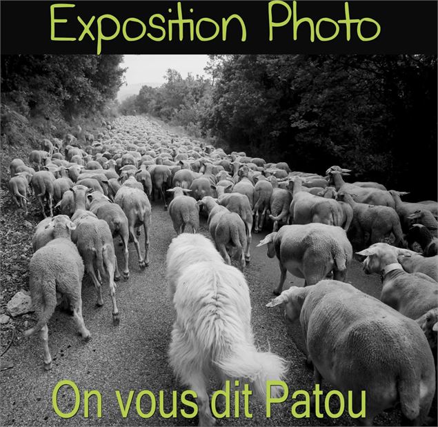 exemple visuel - Ellen Teurlings
