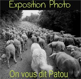 exemple visuel - Ellen Teurlings
