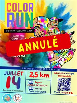 Affiche Color Run - Seyssel en Fêtes