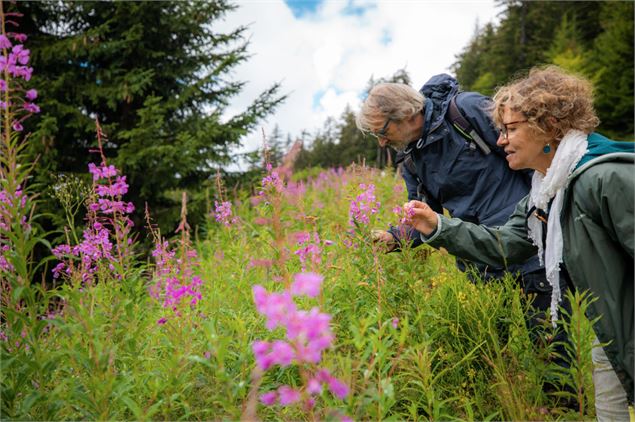 Sortie Faune et Flore_Les Gets - les gets tourisme