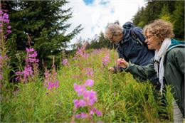 Sortie Faune et Flore_Les Gets - les gets tourisme