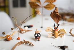 Atelier 4-7 ans au marais de Lavours : "Drôles d'insectes à bricoler"_Ceyzérieu - Marais de Lavours