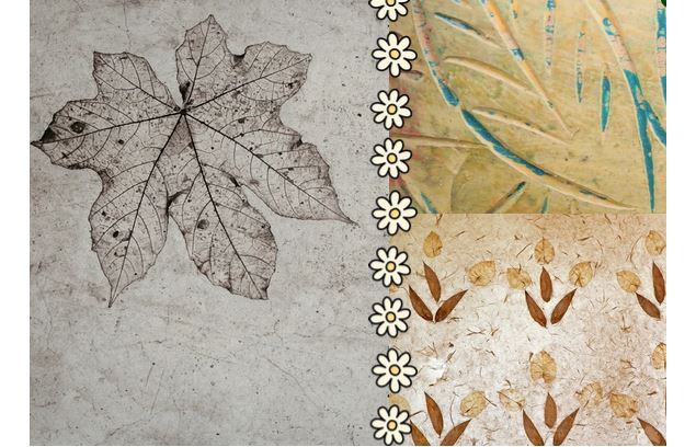 Atelier 7-13 ans au marais de Lavours :