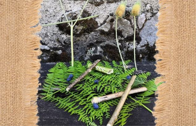 Atelier 7-13 ans au marais de Lavours : 