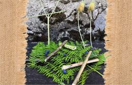 Atelier 7-13 ans au marais de Lavours : "Musique verte"_Ceyzérieu - Maison du Marais