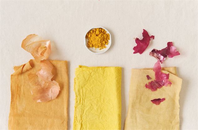 Atelier 7-13 ans au marais de Lavours : 
