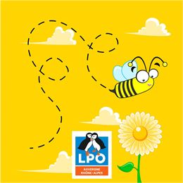 Héroïques abeilles sauvages ! - jambulboy, Pixabay