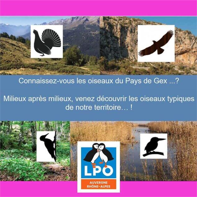 Les oiseaux du pays de Gex - LPO