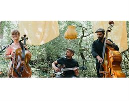 Trio Rose Radio - Rose Radio