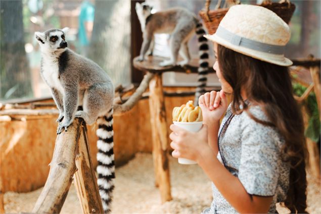 Sortie famille - Freepik