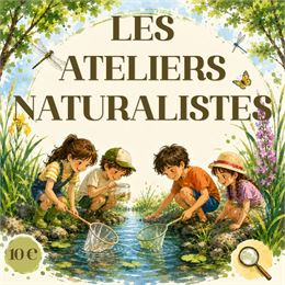 Les ateliers naturalistes autour de l’exposition Art Trop Podes_Pont-de-Vaux - Musée Chintreuil