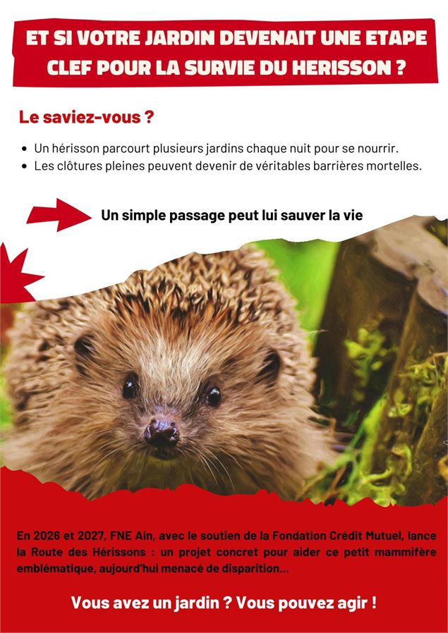 La Route des hérissons_Bourg-en-Bresse