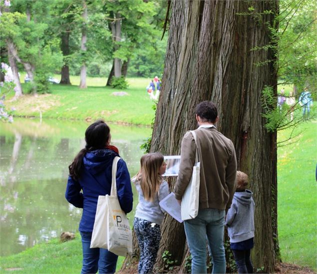 Le Parc à l'envers ! Balade sensorielle dans le parc de Cibeins_Misérieux - CCDSV