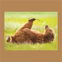 Ateliers Relax_Attignat - LCDE