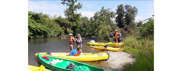 Sorties nature au marais de Lavours : 