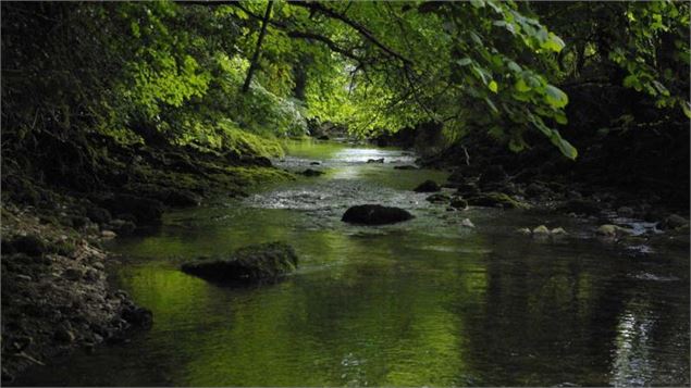 Sorties nature : 