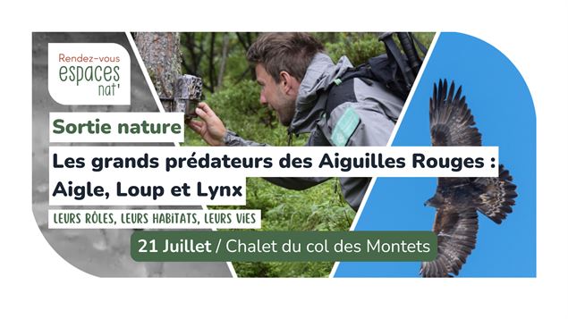 Sortie nature - Les grands prédateurs des Aiguilles Rouges : Aigle, Loup et Lynx_Vallorcine
