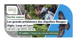 Sortie nature - Les grands prédateurs des Aiguilles Rouges : Aigle, Loup et Lynx_Vallorcine