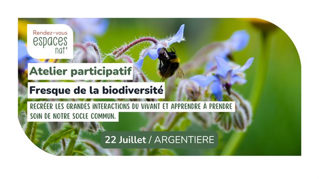 Atelier participatif - Fresque de la biodiversité_Argentière