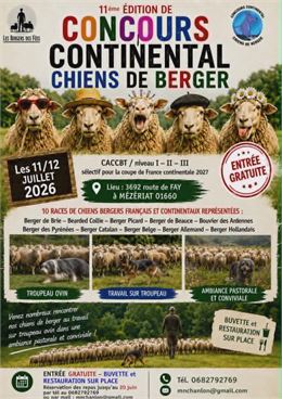 Affiche du concours continental de chiens de berger - Les bergers des fées