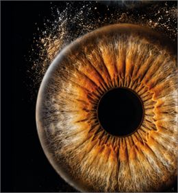 Une photographie d'iris - Ecouter Voir