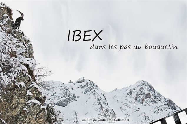 Affiche du film : un bouquetin en falaise - Guillaume Collombet