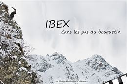 Affiche du film : un bouquetin en falaise - Guillaume Collombet