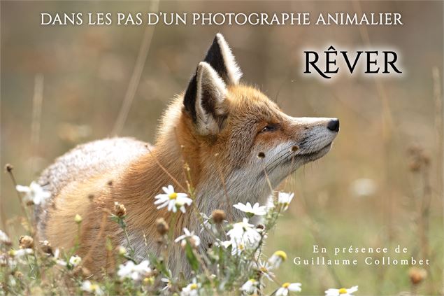Affiche du film Rêver - Guillaume Collombet