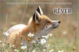 Affiche du film Rêver - Guillaume Collombet