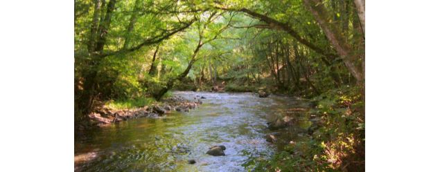Les Mercredis des marm'eau au marais de Lavours : 