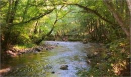 Les Mercredis des marm'eau au marais de Lavours : "La rivière du bout des doigts..."_Valromey-sur-Sé