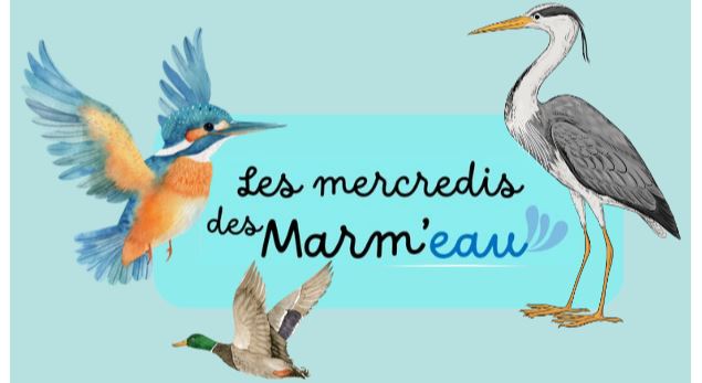 Les Mercredis des marm'eau au marais de Lavours : 